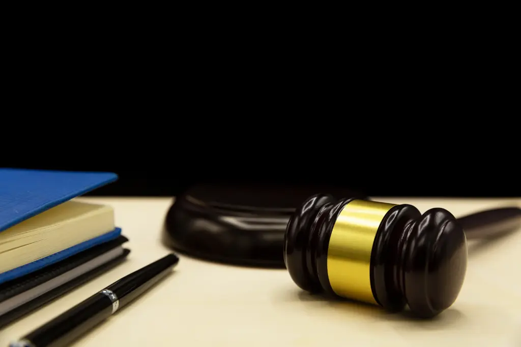 Criminal Law & Litigation