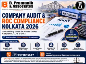 Company Audit