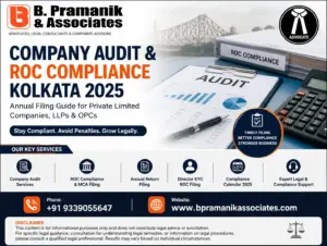 Company Audit